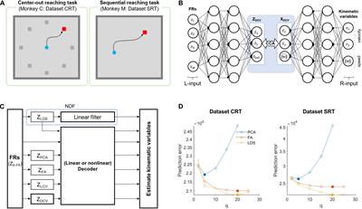 Decoding Kinematic Information From Primary Motor Cortex Ensemble Activities Using a Deep Canonical Correlation Analysis